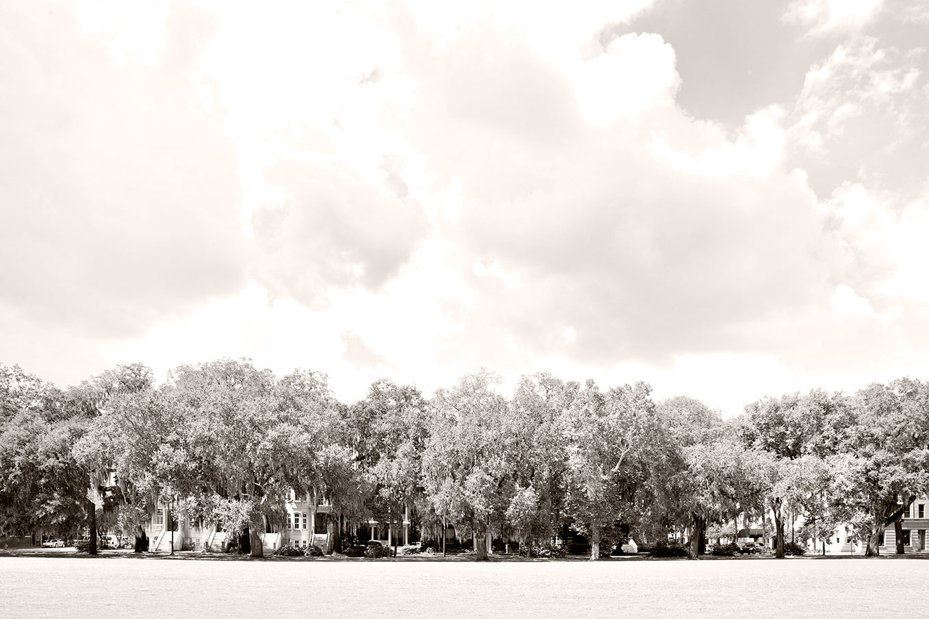 <span style="font-size:16px;"> Forsythe Row Houses</span> : South : nick dantona fine art photography