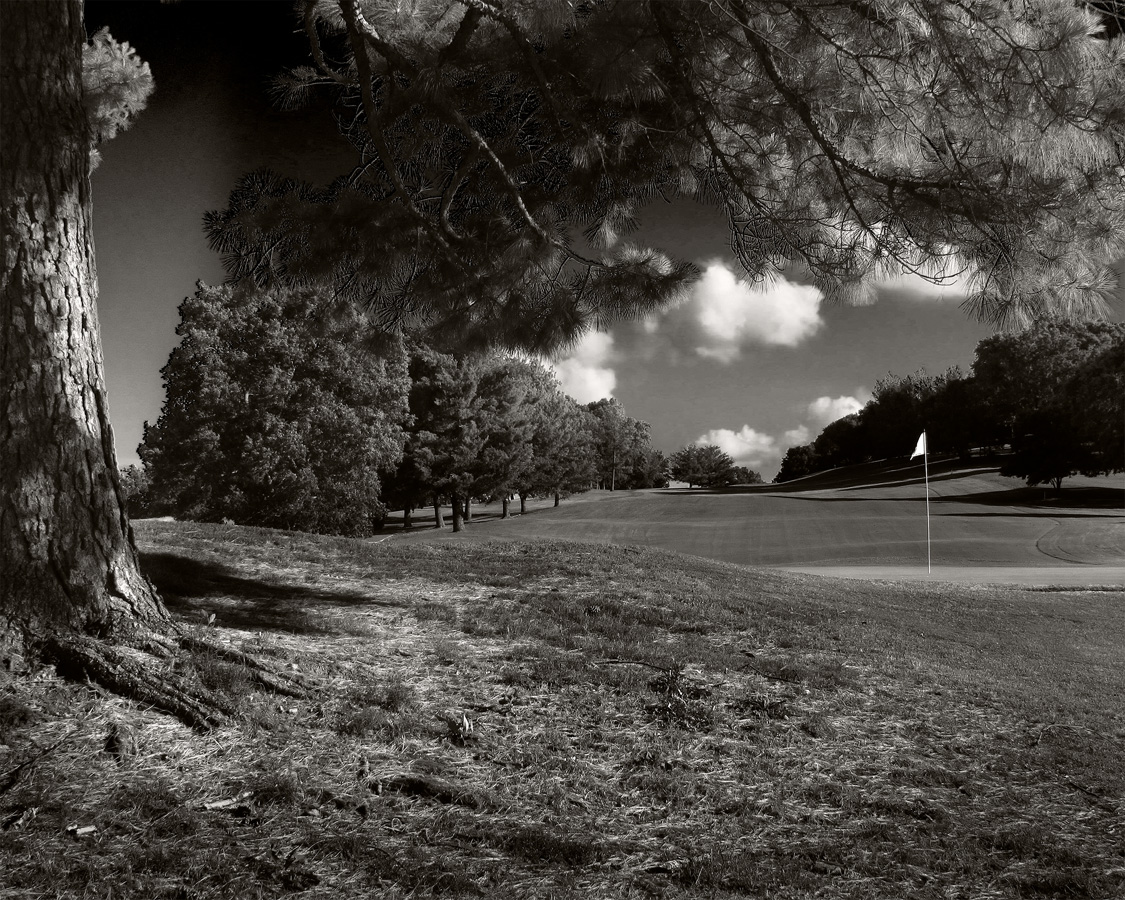  : Golf Landscapes : nick dantona fine art photography