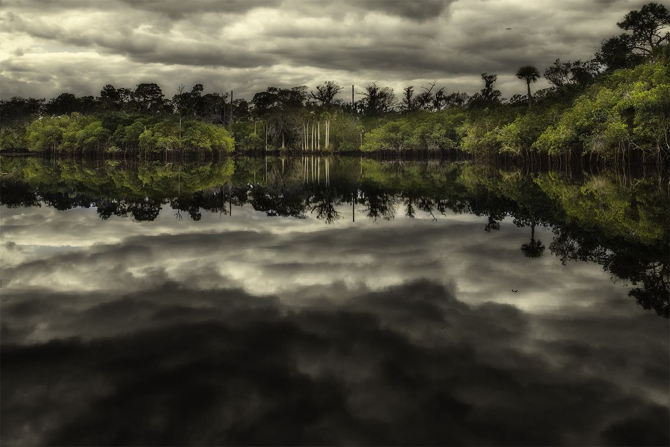 <span style="font-size:16px;">Loxahachee Reflection</span> : South : nick dantona fine art photography