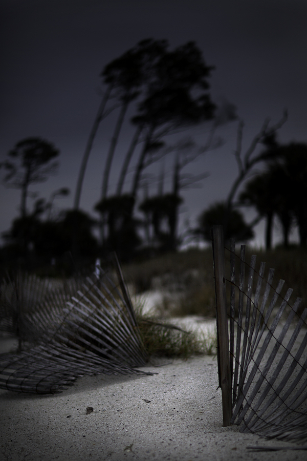 <span style="font-size:16px;"> Hunting Isl Beach Fence</span> : South : nick dantona fine art photography