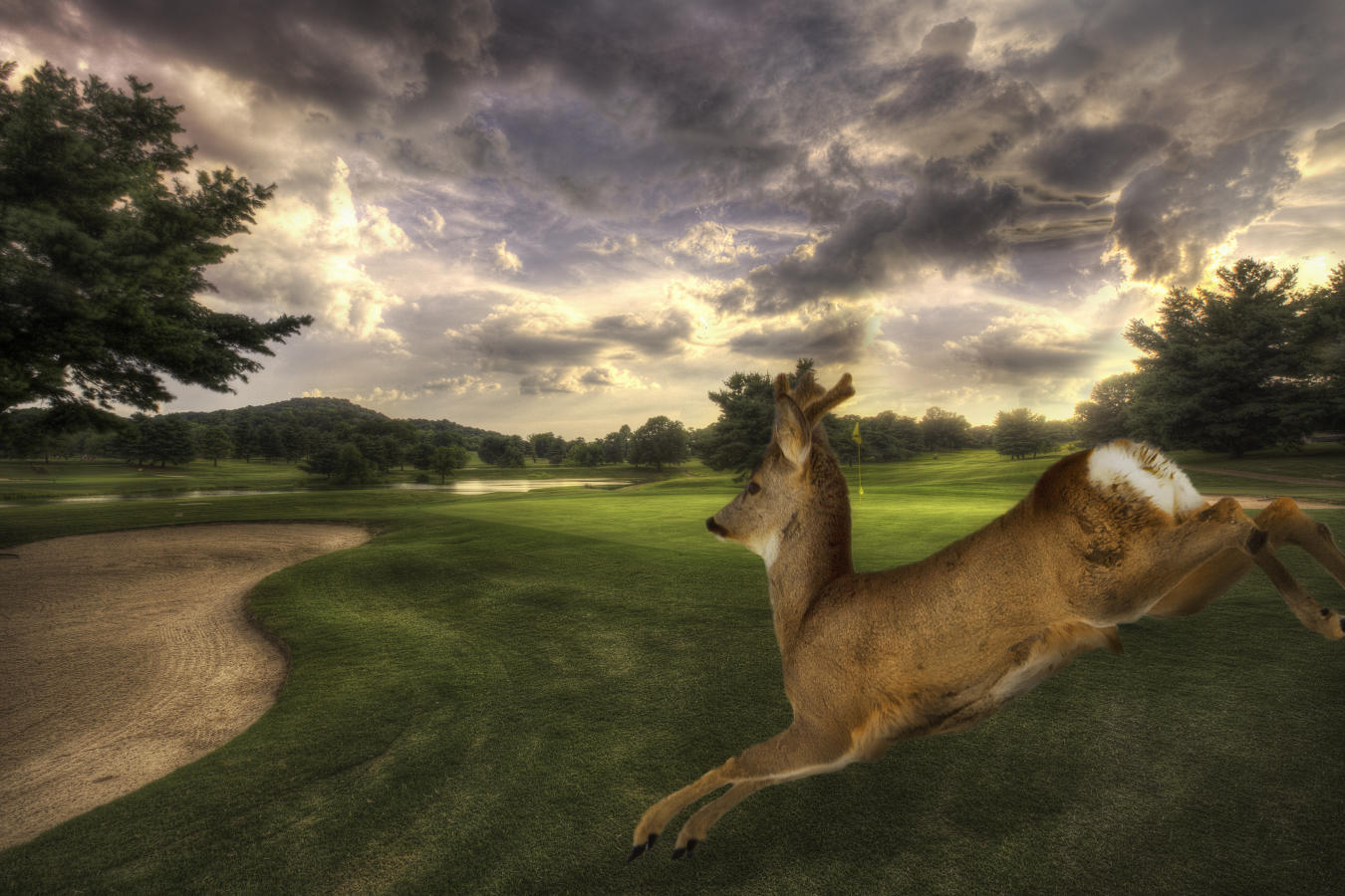  : Golf Landscapes : nick dantona fine art photography