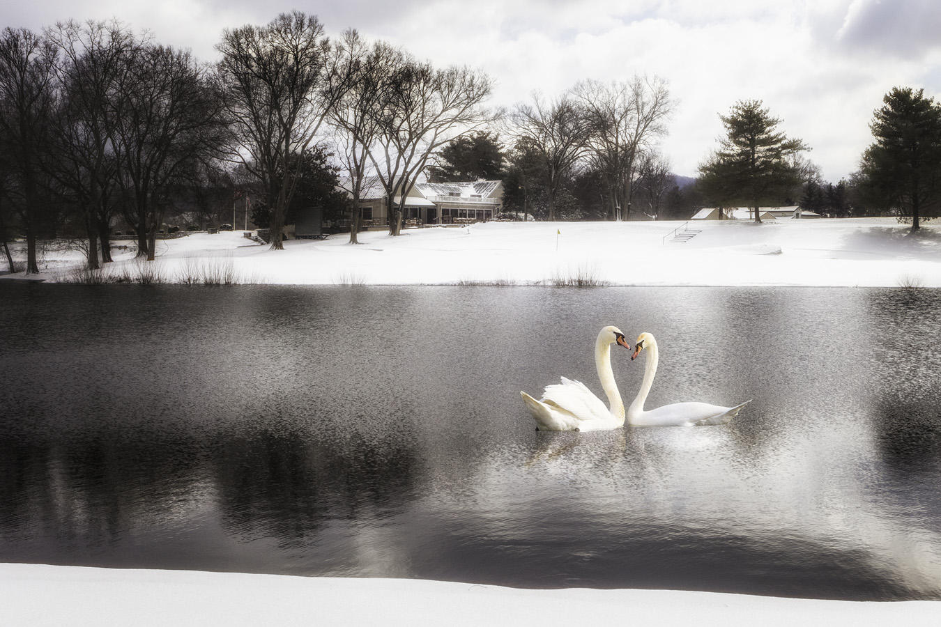  : Golf Landscapes : nick dantona fine art photography