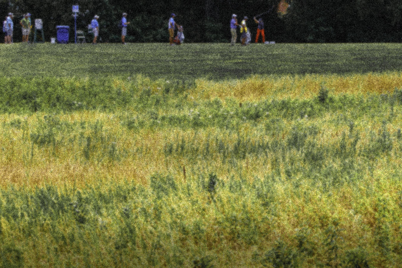  : Golf Landscapes : nick dantona fine art photography