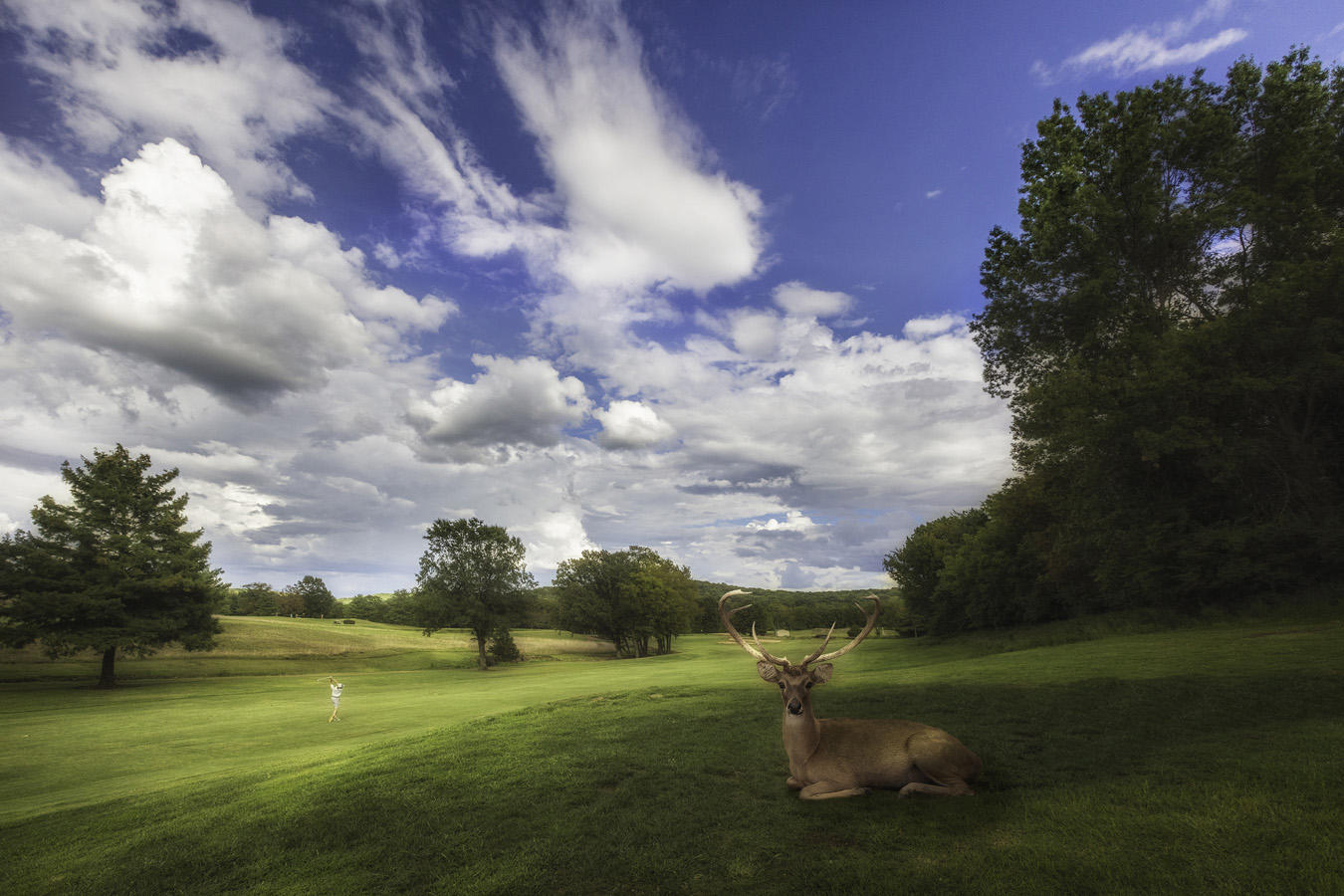  : Golf Landscapes : nick dantona fine art photography